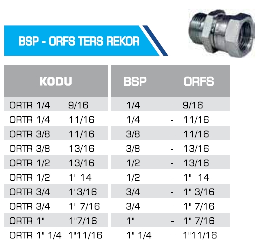 BSP - ORFS TERS REKOR