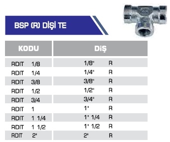 BSP (R) DİŞİ TE