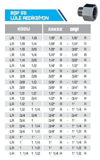 BSP (R) LÜLE REDİKSİYON
