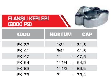 FLANŞ KEPLERİ (3000 PS)